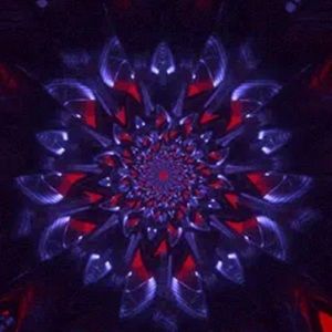 Meet your Posher, Hailey